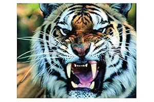 ISEE 360 Wallpaper Animal Posters Canvas for Kids Room Long Walls Living Room Bedroom Kitchen Furniture Kids Boys Girls Roaring Tiger Sticker L X H 12 X 12 Inches
