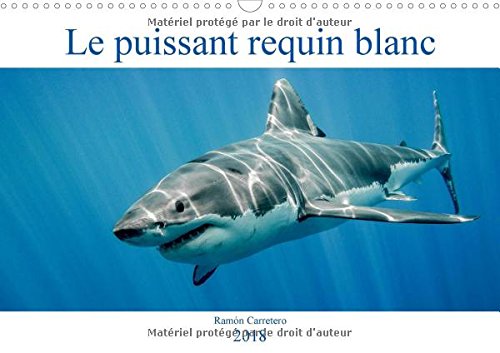 Le puissant requin blanc 2018 en ligne