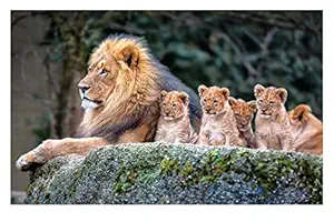 ISEE 360 Wallpaper Animal Posters Canvas for Kids Room Long Walls Living Room Bedroom Kitchen Furniture Kids Boys Girls Stylish Lion Family Sticker S1 L X H 18 X 12 Inches