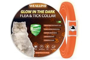 WEALLIN Lumineux Traitement Contre Les puces, Collier Anti Puces pour Chat Imperméable et Réglable, Naturelles et Efficace Protection 8 Mois pour Les Chatons de Toutes Tailles, Orange (1 Paquet)