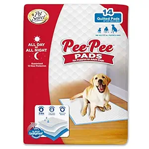 Four Paws 100519796 14 Count Pet Select Pee-Pee Training Pads 22 x 22