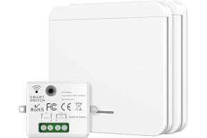 Apkezel Interruttore della luce wireless, interruttore di sicurezza del trasmettitore RF e controller del ricevitore da 10 A