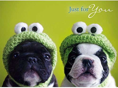 Kermit Pug Dogs Birthday Card