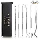 Dental Hygiene Kit - 6 Pcs Dental Tools Essential Calculus & Plaque Remover Set Dentist Prepared Tools Kit for Deep Tooth Cleaning and Repairing Tooth to Maintain High Oral Care