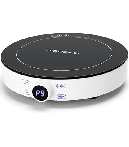 Plaque Chauffante Électrique Portable 500W - Mini Cuisinière Pour Café, Thé, Soupes Et Cuisson Rapide (Gris Argent)
