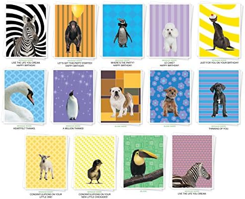 Assorted Animals Premium Greeting Cards - Bulk Set of 14 Cards Including: Birthday, Thank You, New Baby, Inspiration and Blank