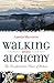Walking into Alchemy: The Transformative Power of Nature (English Edition) by 