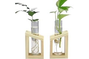 NUYYR 2 Pezzi Vaso Idroponico Decorazione, Vaso in Legno Supporto, Vaso Decorativo in Legno, Fioriera da Tavolo, Trasparente Idroponica Vaso in Vetro per Home, Scrivania, Garden, Wedding Piante Decor