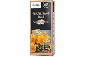 Terra Fertilis - Fertilisant Sols spécial Plantes et Fleurs en pot - Biochar - Stimule la vitalité des plantes d'intérieur - Réduit les besoins en arrosage et en engrais - Boîte 10 sticks de 10 g