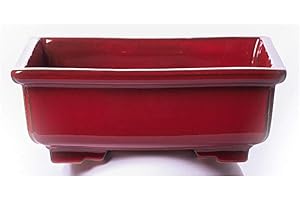 Alfareros Damian Canovas Maceta para Bonsai DE Barro Y ESMATADA EN Color Rojo. Medidas 22X16X8 CM.Modelo Tokio. con TU Compra TE REGALAMOS EL Plato.