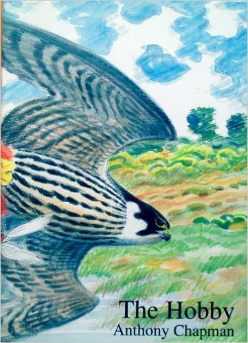 The Golden Eagle The Golden Eagle