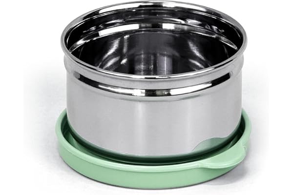 SignoraWare Mini Fresh Stainless Steel Small Container Airtight & Leakproof Compact & Travel-Friendly Easy to Carry Perfect for Office, School & Home Use (170ml EGreen)