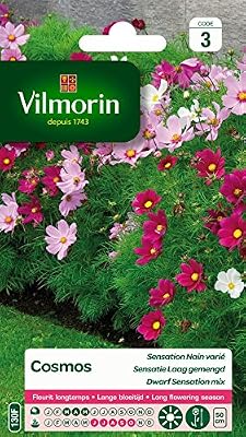 Vilmorin 5247543 Pack de Graines Cosmos Sensation Nain Varié