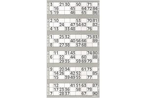 BINGO SOCIAL Livre de 750 cartons de bingo (Gris)