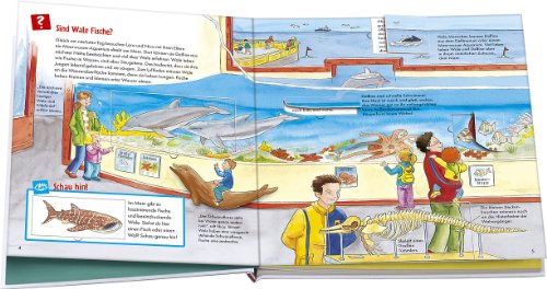 Livres Couvertures de Was ist was junior 26: Wale und Delfine