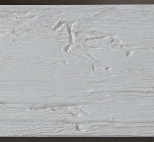 Spiegel Wandspiegel Badspiegel – Capri Weiß 5,8 – handgefertigt – 200 Größen zur Auswahl – Modern, Vintage, Shabby – 50 x 60 cm AM - 3