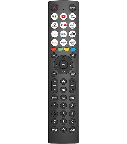 EN2D27 Ersatz-Fernbedienung Für Hisense Smart TVs – Kompatibel Mit Vielen Modellen