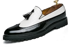 Fashion Modern WORLDLYDA Herren Loafer Mokassins Mode Quaste Schuhe Slip On Kleid Freizeitschuhe Fahren Loafer Party Schuhe