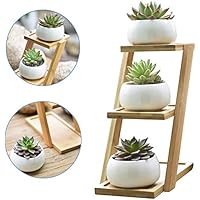 Suchergebnis auf Amazon.de für: pflanzenetagere: Garten