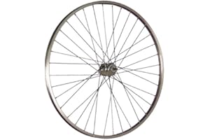 Taylor-Wheels 28 Pouces Roue arrière vélo rétropédalage 622-19 Acier Inoxydable Argent