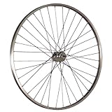 Taylor Wheels 28inch bike rear wheel single wall Nirosta spokes coaster silver