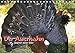 Produktbild Der Auerhahn - Szenen einer Balz (Tischkalender 2019 DIN A5 quer): Von März bis in den späten Mai hinein balzen die Auerhühner. (Monatskalender, 14 Seiten) (CALVENDO Tiere)