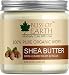 Bliss of Earth™ 100% Pure Organic Ivory Shea Butter | Raw | Unrefined | African | 200GM | Great For Face, Skin, Body, Lips, DIY products| RS.685.00