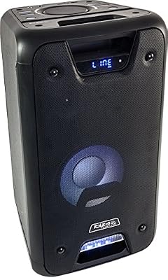 Ibiza 10-7089 FREESOUND300 Enceinte Portable amplifiée