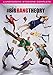 The Big Bang Theory - Stagione 11 (DVD)