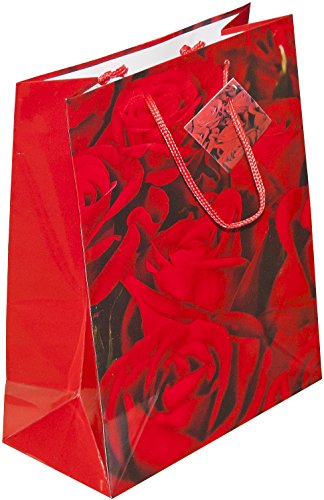 10 Geschenktaschen mit verschiedenen Motiven, groß - 8
