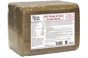 RIDLEY 16826 33LB Sheep/Goat Block