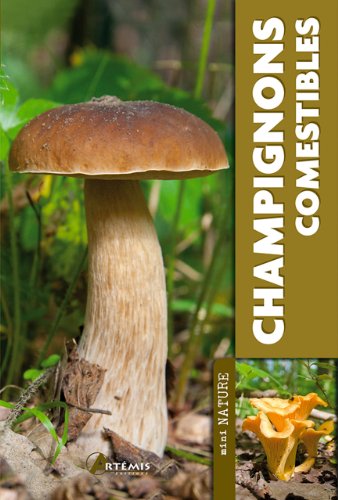 Download Champignons comestibles Download Champignons comestibles