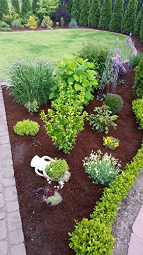 24 x 650 Gramm = 216 Liter Kokoshumus als Beetabdeckung – die Alternative zu Rindenmulch Humusziegel Kokosfaser Brikett Kokosfaserhumus Kokos Mulch Deko - 5