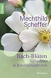 Image de Bach-Blüten-Selbsthilfe in Krisensituationen