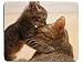 Produktbild Ifuoff Mousepad mit süßem Katzenmotiv, Katze mit neugierigen Augen auf dem Tisch, individuell, rutschfest, für Büro, Computer, Zubehör