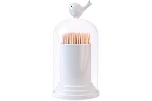 Balvi - support à coton-tiges ou à cure-dents. Avec un couvercle transparent. Design original avec un