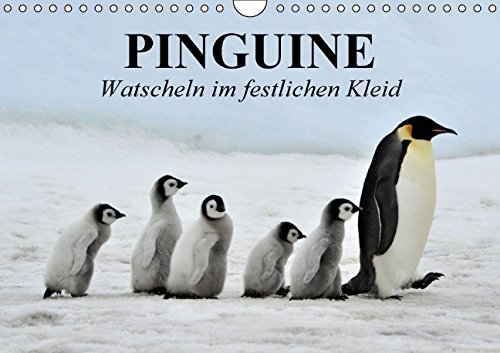 Pinguine - Watscheln im festlichen Kleid (Wandkalender 2015 DIN A4 quer)
