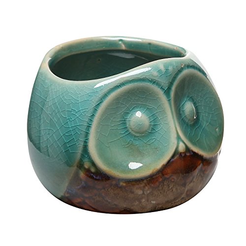 MyGift 7,6 cm türkis & braun kleine Eule Design Keramik Sukkulente Übertopf/Flower Bud Topf/Mini Deko Vase