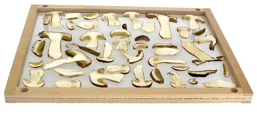 Trockene Pasta/Pilze cm.50 x 40 - 2