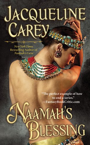 Cover zum Buch Naamah's Blessing