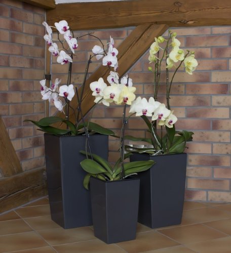 Dekoratives 3er Set Blumenkübel Blumentopf schiefer grau glänzend Pflanzeinsatz Coubi Serie - 2
