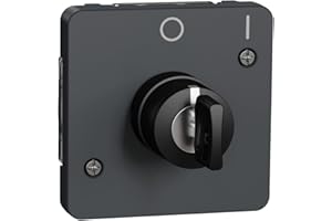 Schneider Electric Interruptor de llave 2 posic. IP55 Gris