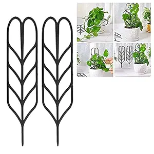 Cinagro Metal Climber for Potted Plants - Climbing Plant Support Stand for Indoor, Outdoor Garden, Balcony (Pack of 2, Black)