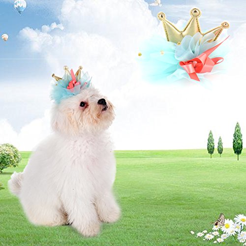 Pet-Dog-Puppy-Hair-Clips-Hairpin-Grooming-Dog-Headdress-Grooming-Accessories-Gold-Crown-Style-bY-Awhao