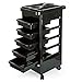 Hotrose Salon Hairdresser Barber Storage Trolley Cart