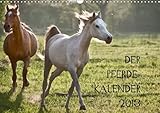 Pferdekalender (Wandkalender 2013 DIN A4 quer): wunderbare Pferde (Monatskalender, 14 Seiten) by