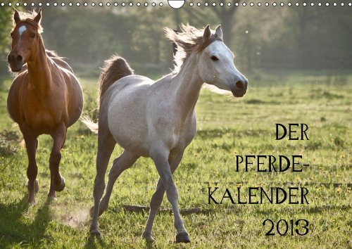 Pferdekalender (Wandkalender 2013 DIN A4 quer): wunderbare Pferde (Monatskalender, 14 Seiten)