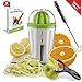 Produktbild SONDERANGEBOT Spiralschneider Hand für Gemüsespaghetti kartoffel - mit BÜNDEL Kochbuch und enthält die Bürste für die Reinigung - FabQuality Zucchini Spargelschäler, Gurkenschneider (2 in 1)