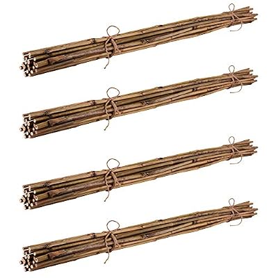 Nature by Kolibri Baguettes en bambou, cannes de plantes en bambou 120 cm, couleur naturelle | différentes longueurs