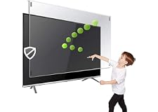 TV Screen Protector (65)